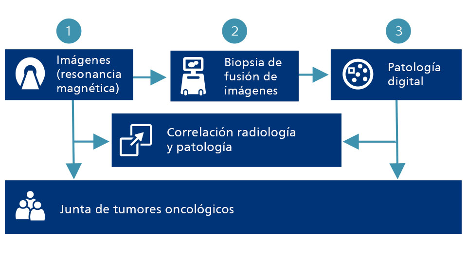 La RM que conecta diagramas, la biopsia por fusi&oacute;n de im&aacute;genes, la anatom&iacute;a patol&oacute;gica digital, la radiolog&iacute;a y la anatom&iacute;a patol&oacute;gica, y la junta de tumores oncol&oacute;gicos
