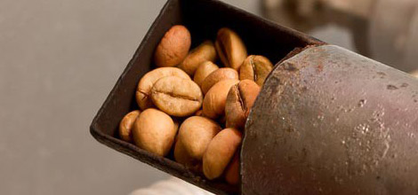 Granos tostados: los tostados m&aacute;s oscuros tienen menos cafe&iacute;na