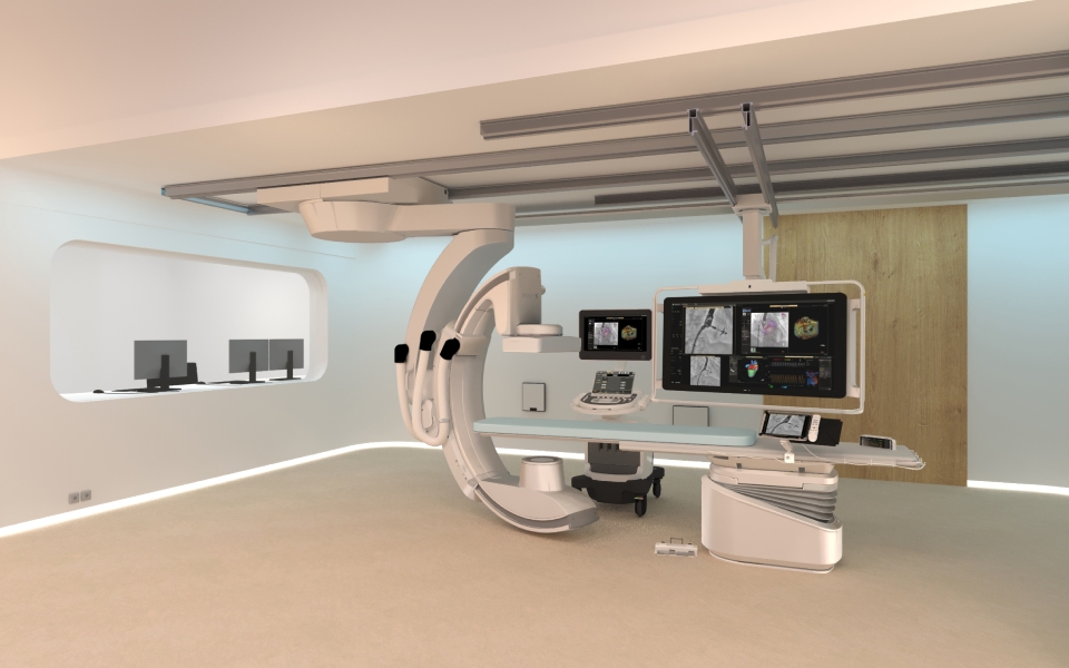 Hotspot confianza en el procedimiento de cardiopat&iacute;as estructurales